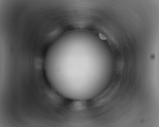 X0000103400126200809121251