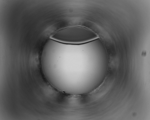 X0000103400128200809121251