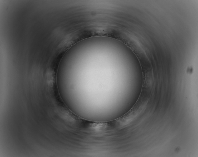 X0000103400135200809121251