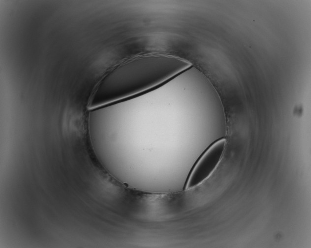 X0000103400136200809121251