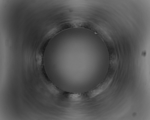 X0000103400139200809121251