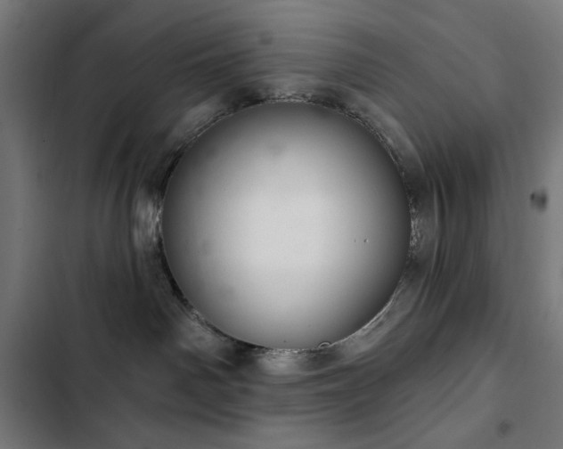 X0000103400142200809121251