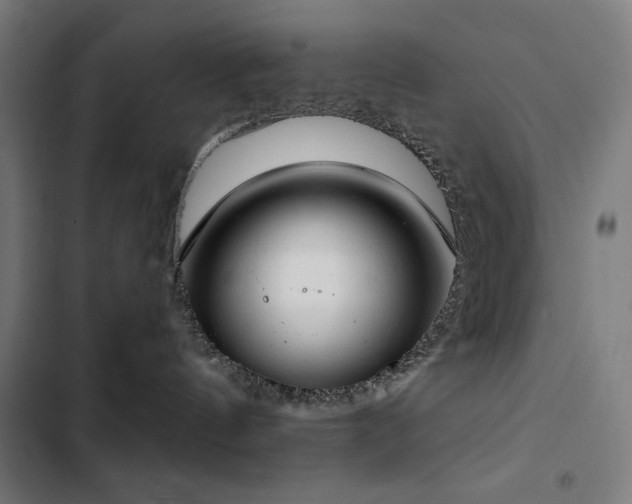 X0000103400144200809121250