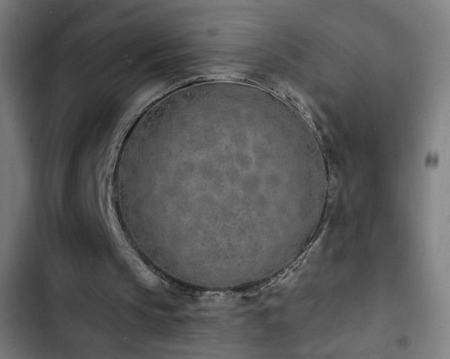 X0000103400145200809121250