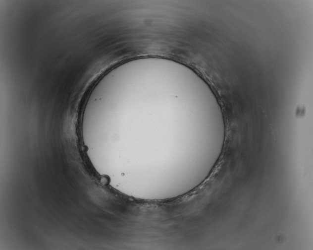 X0000103400146200809121250