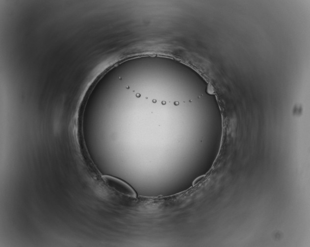 X0000103400148200809121250