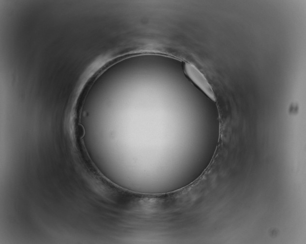 X0000103400152200809121250