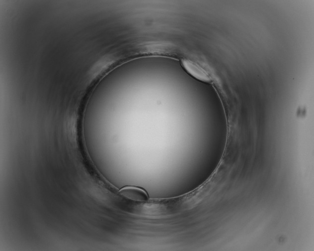 X0000103400154200809121250