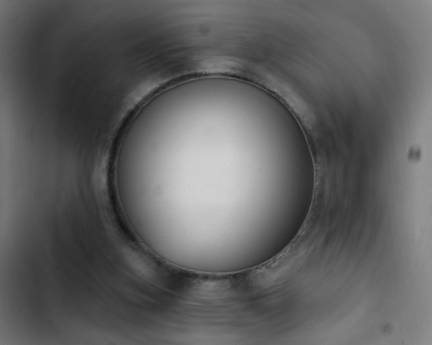 X0000103400155200809121250