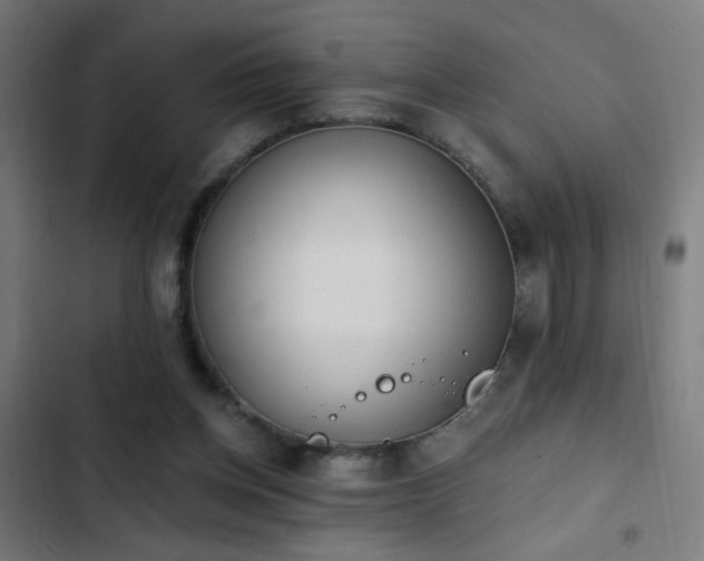 X0000103400158200809121250