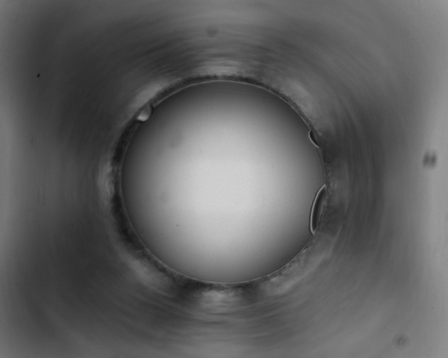 X0000103400160200809121250