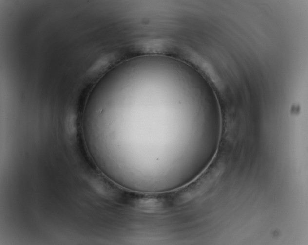 X0000103400161200809121250