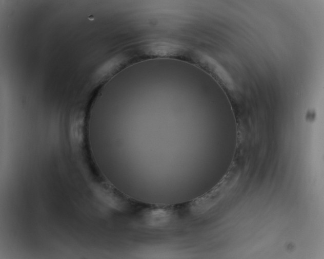 X0000103400163200809121250