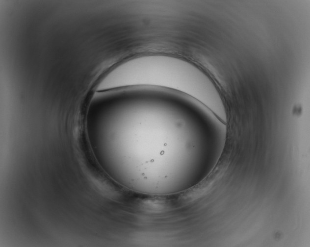 X0000103400164200809121250