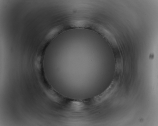 X0000103400167200809121250