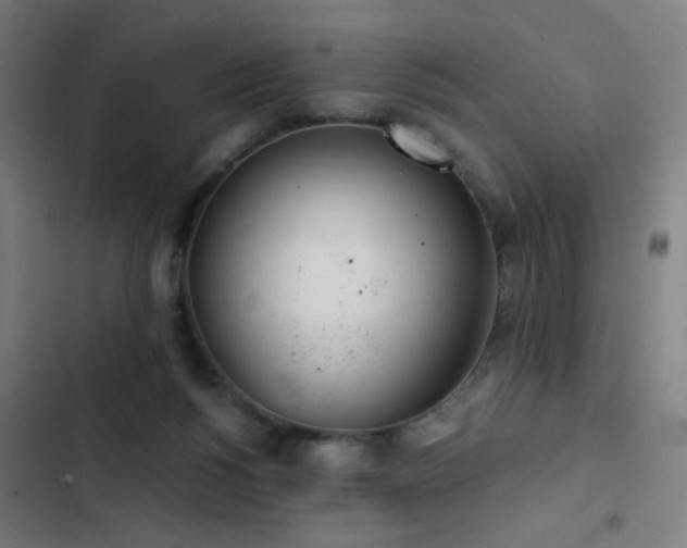 X0000103400168200809121250