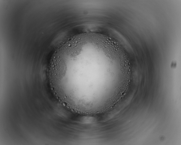 X0000103400169200809121250