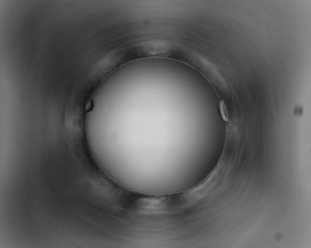 X0000103400170200809121250