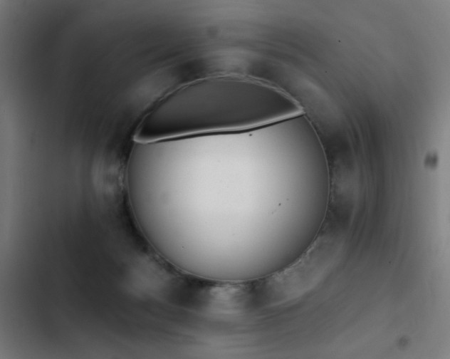 X0000103400172200809121250