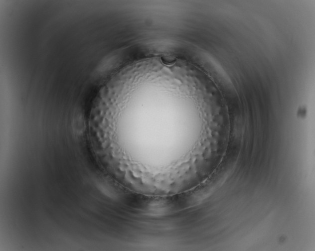 X0000103400173200809121250