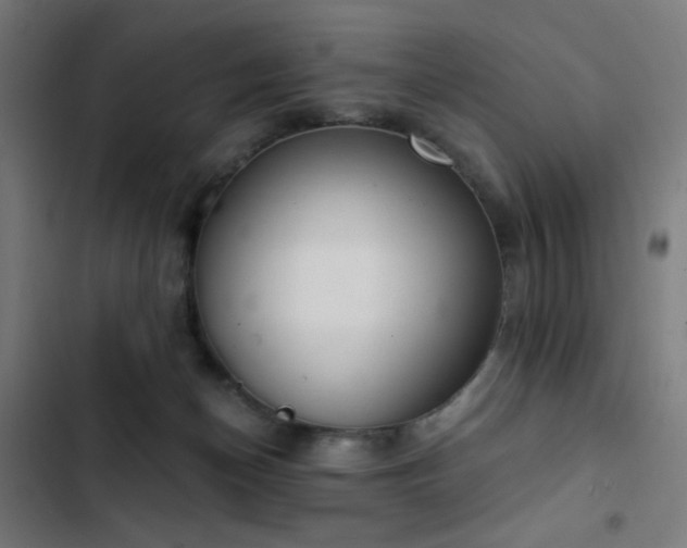 X0000103400174200809121250