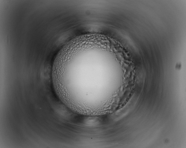 X0000103400175200809121250