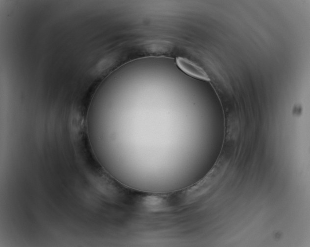 X0000103400176200809121250