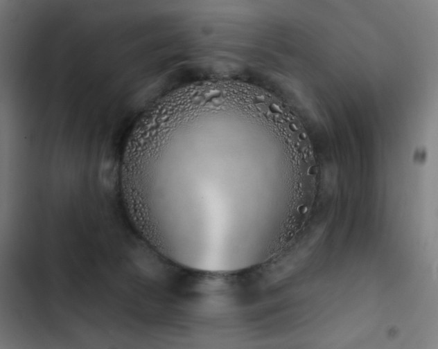 X0000103400177200809121250