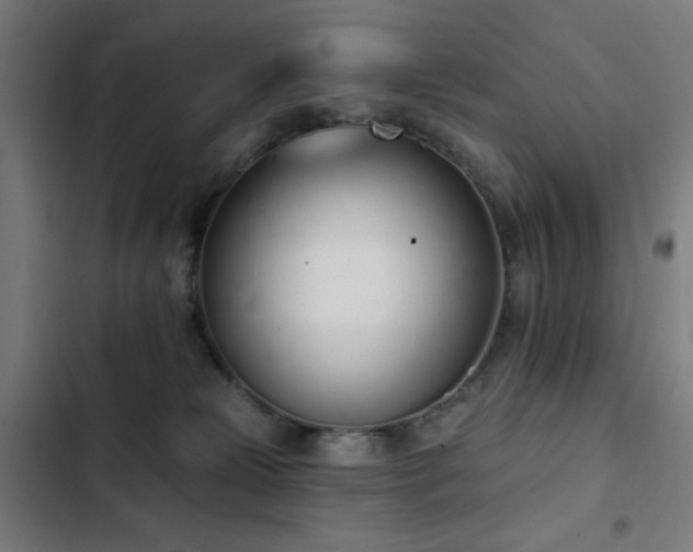 X0000103400181200809121250