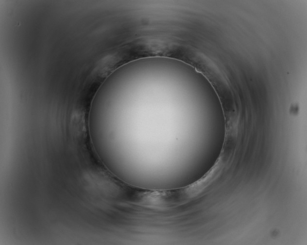 X0000103400182200809121250