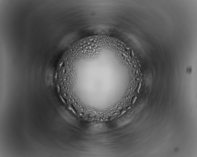 X0000103400185200809121250