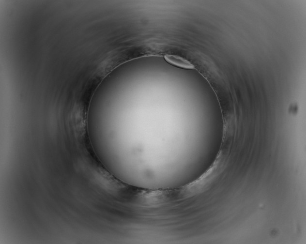 X0000103400186200809121250