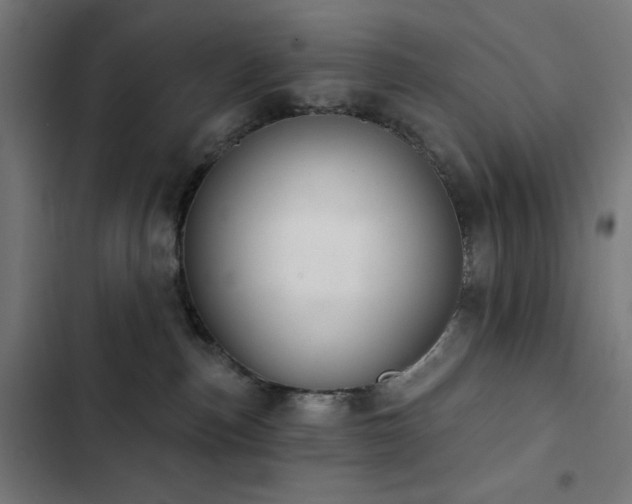 X0000103400187200809121250