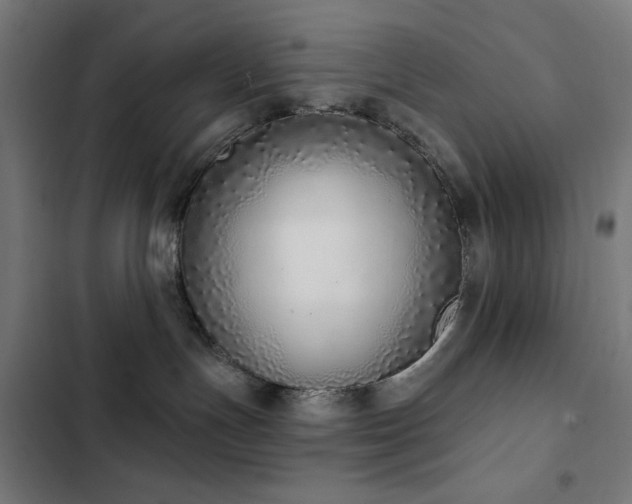 X0000103400191200809121250