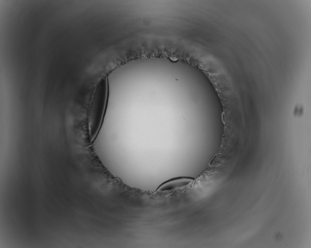 X0000103400192200809121250