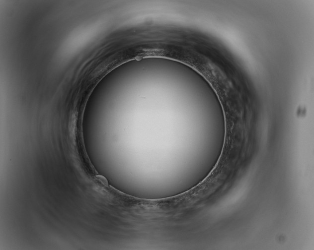 X0000103400194200809121250