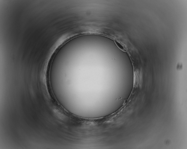 X0000103400195200809121250