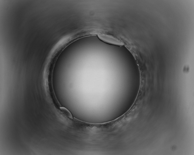 X0000103400197200809121250