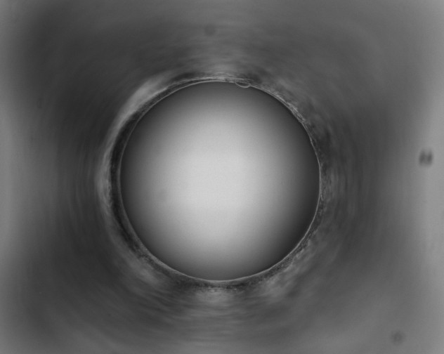 X0000103400198200809121250