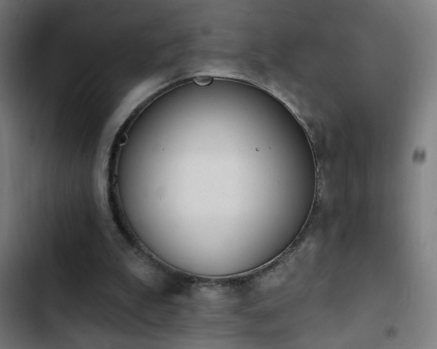 X0000103400199200809121250