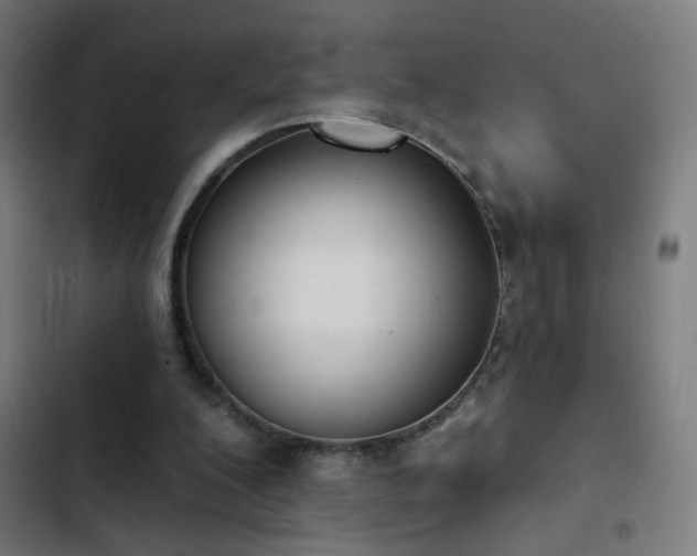 X0000103400200200809121250