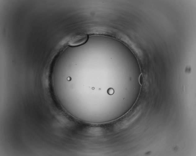 X0000103400203200809121250