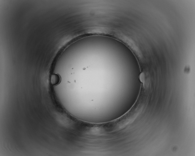 X0000103400204200809121250