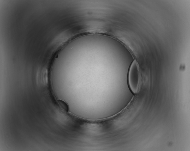 X0000103400205200809121250