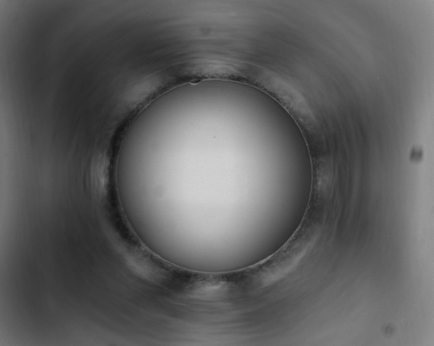 X0000103400206200809121250