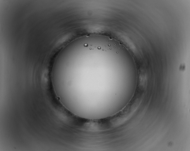 X0000103400211200809121250