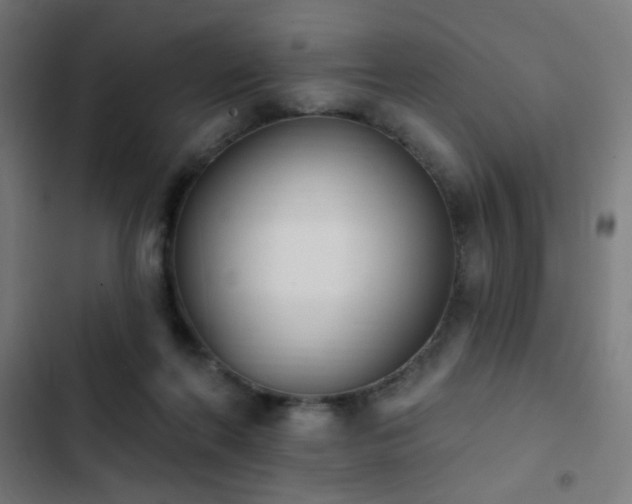 X0000103400214200809121250