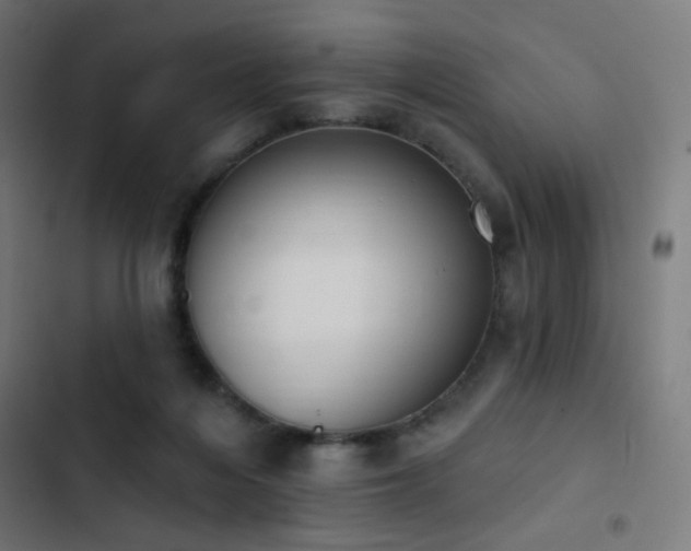 X0000103400216200809121250