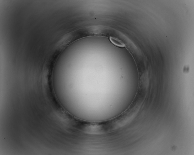 X0000103400217200809121249