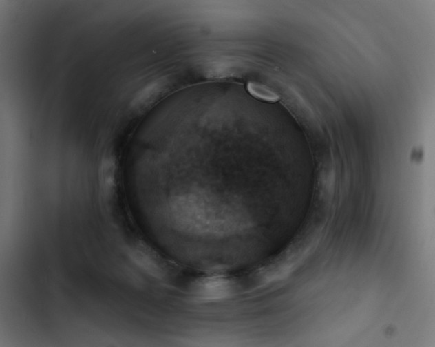 X0000103400219200809121249